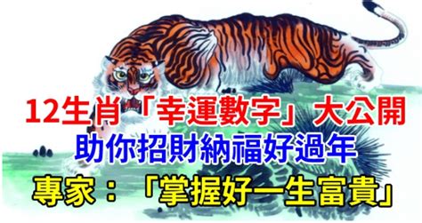 屬虎幸運數字|12生肖「幸運數字」曝光！專家：掌握好一生富貴